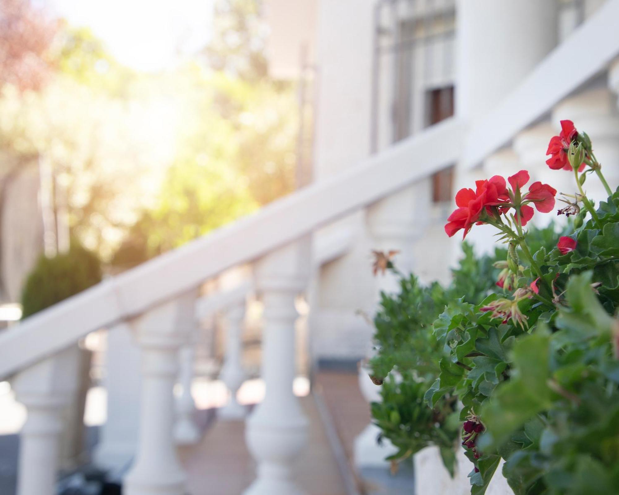 Villa Fuji Sierra De La Pandera Jaén Екстериор снимка